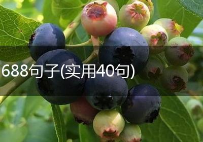 688句子(实用40句)