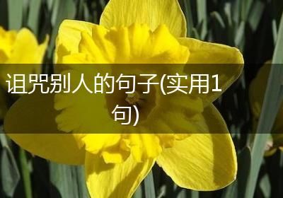 诅咒别人的句子(实用1句)
