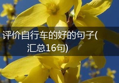 评价自行车的好的句子(汇总16句)
