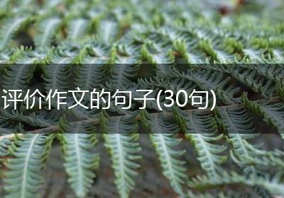 评价作文的句子(30句)
