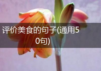 评价美食的句子(通用50句)