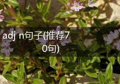 adj n句子(推荐70句)