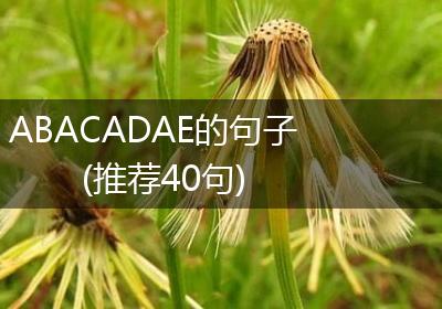 ABACADAE的句子(推荐40句)