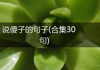 说傻子的句子(合集30句)