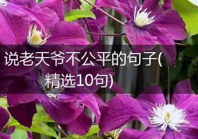说老天爷不公平的句子(精选10句)