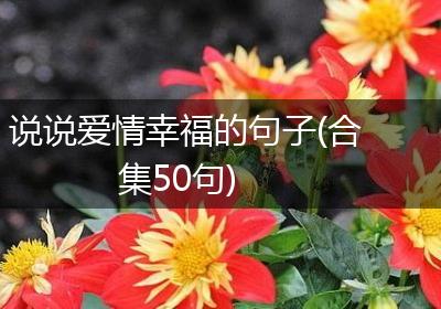说说爱情幸福的句子(合集50句)