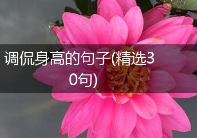 调侃身高的句子(精选30句)