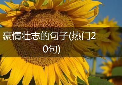 豪情壮志的句子(热门20句)