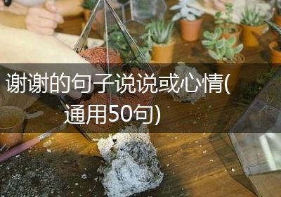 谢谢的句子说说或心情(通用50句)