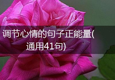 调节心情的句子正能量(通用41句)