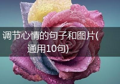 调节心情的句子和图片(通用10句)