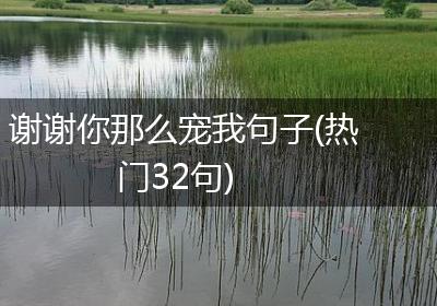 谢谢你那么宠我句子(热门32句)