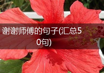 谢谢师傅的句子(汇总50句)