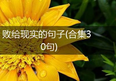 败给现实的句子(合集30句)