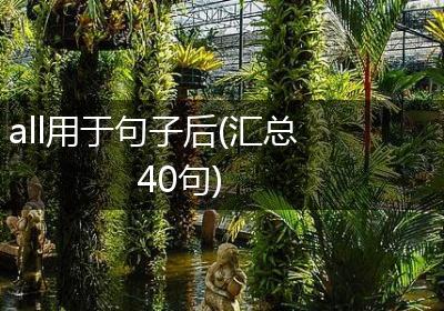 all用于句子后(汇总40句)