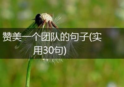 赞美一个团队的句子(实用30句)