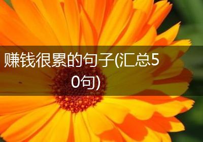 赚钱很累的句子(汇总50句)