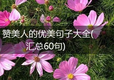 赞美人的优美句子大全(汇总60句)