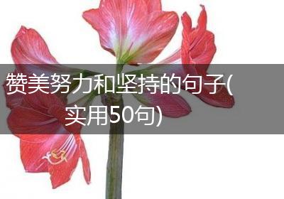赞美努力和坚持的句子(实用50句)