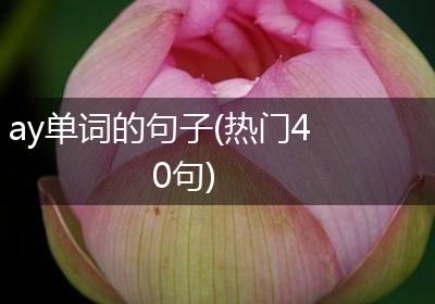 ay单词的句子(热门40句)