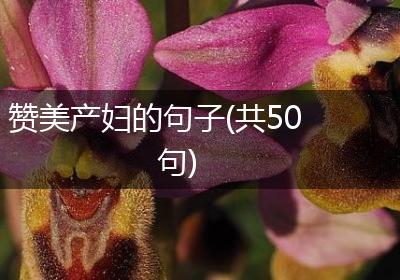 赞美产妇的句子(共50句)