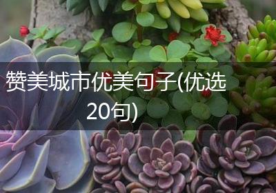 赞美城市优美句子(优选20句)