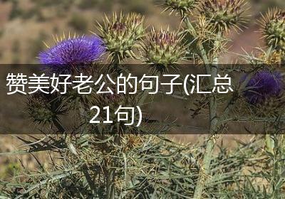 赞美好老公的句子(汇总21句)