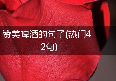 赞美啤酒的句子(热门42句)