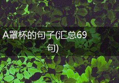 A罩杯的句子(汇总69句)