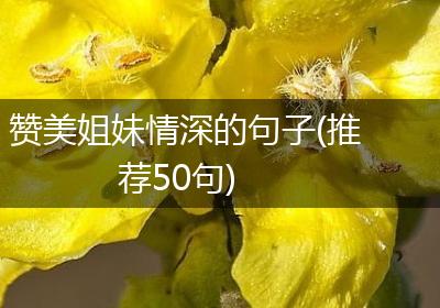 赞美姐妹情深的句子(推荐50句)
