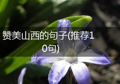 赞美山西的句子(推荐10句)