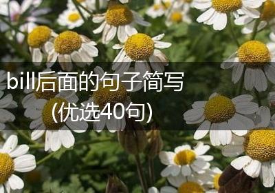 bill后面的句子简写(优选40句)