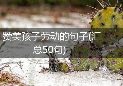 赞美孩子劳动的句子(汇总50句)