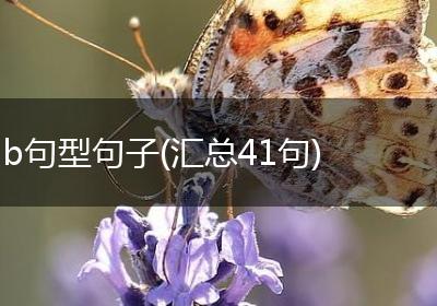 b句型句子(汇总41句)
