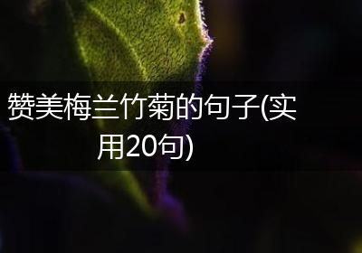 赞美梅兰竹菊的句子(实用20句)