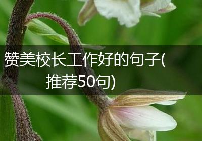 赞美校长工作好的句子(推荐50句)