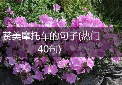 赞美摩托车的句子(热门40句)