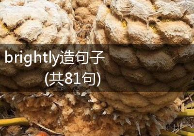 brightly造句子(共81句)