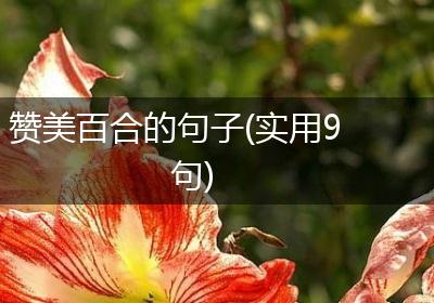 赞美百合的句子(实用9句)