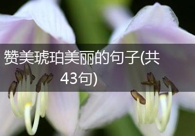 赞美琥珀美丽的句子(共43句)