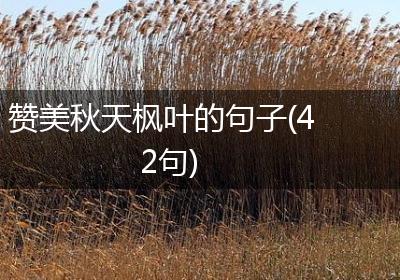 赞美秋天枫叶的句子(42句)