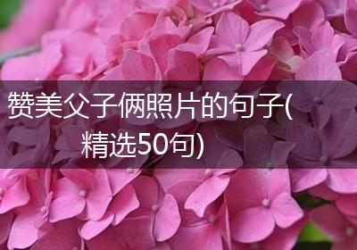 赞美父子俩照片的句子(精选50句)