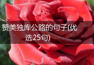 赞美独库公路的句子(优选25句)
