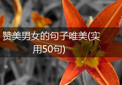 赞美男女的句子唯美(实用50句)