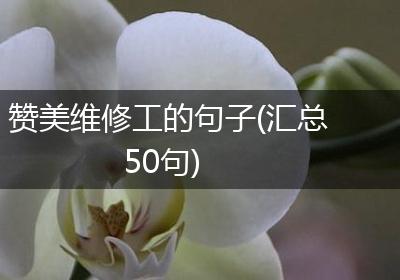 赞美维修工的句子(汇总50句)