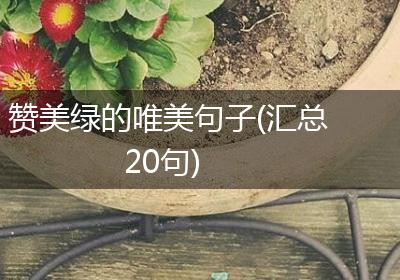 赞美绿的唯美句子(汇总20句)
