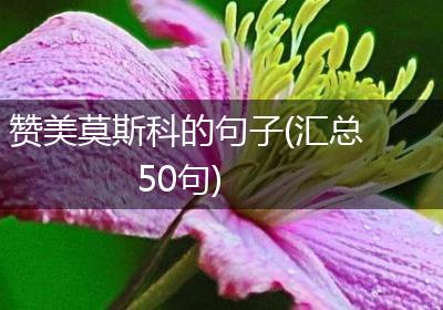 赞美莫斯科的句子(汇总50句)