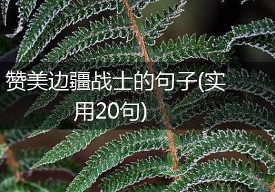 赞美边疆战士的句子(实用20句)