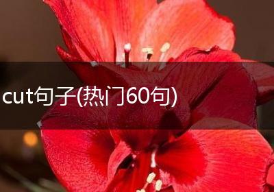 cut句子(热门60句)