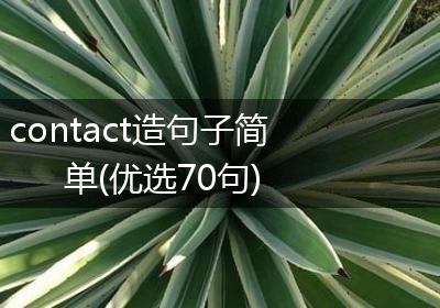 contact造句子简单(优选70句)